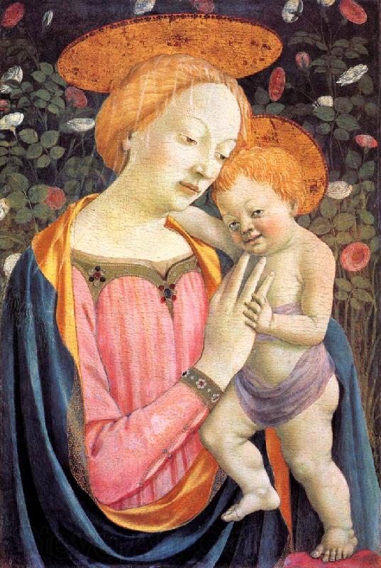 DOMENICO VENEZIANO Madonna and Child dfgw